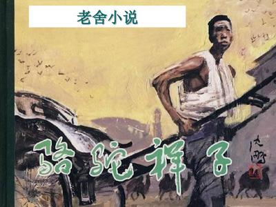 猫咪视频永久有效入口